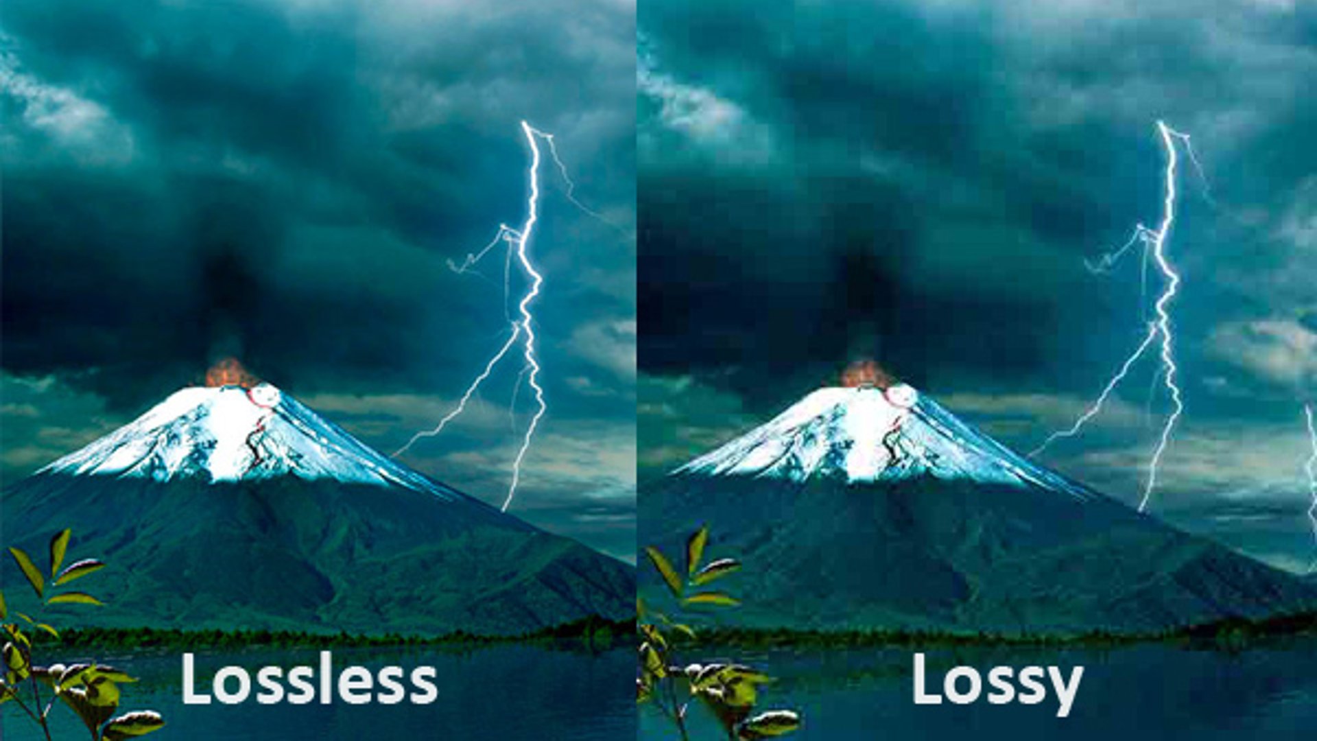 Lossy vs. Lossless Compression